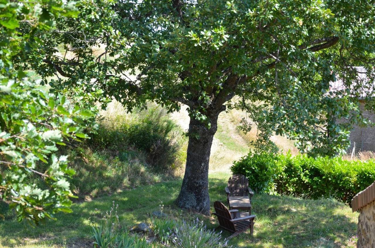 Gites Le Chene & Le Tilleul Saint-Romain-de-Lerps الغرفة الصورة